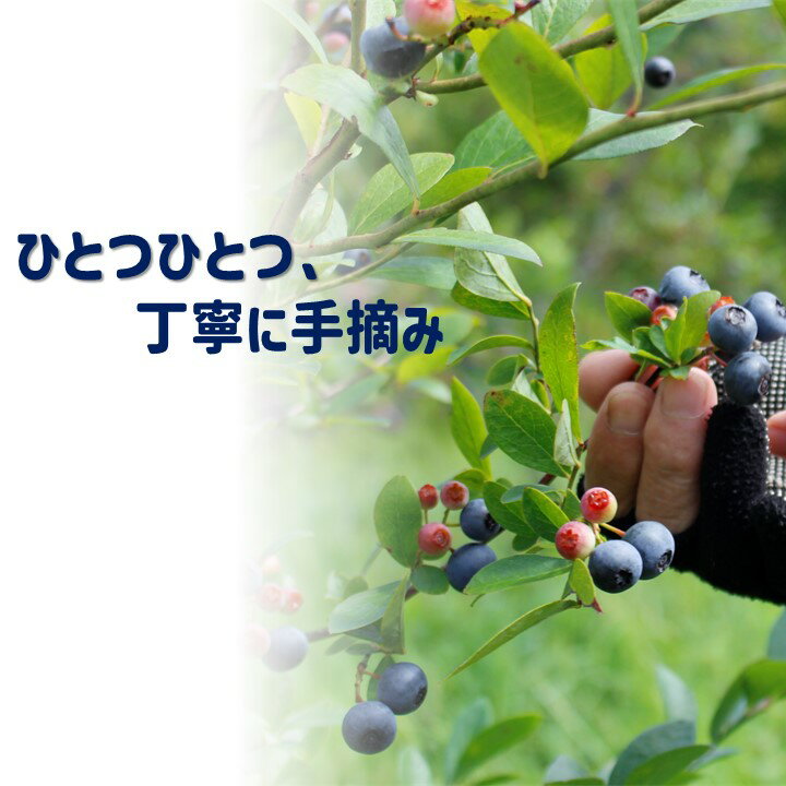 愛媛県久万高原町の画像2