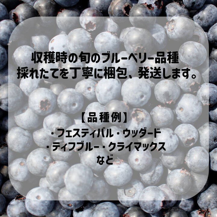 愛媛県久万高原町の画像3