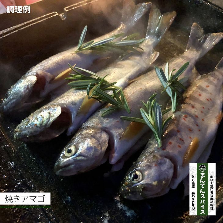 愛媛県久万高原町の画像3