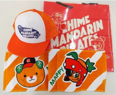 【愛媛県共通返礼品】愛媛マンダリンパイレーツ応援3点セット