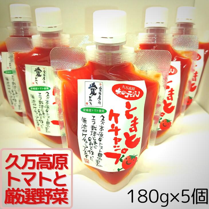 赤の元気「トマトケチャップ」5個セット 無添加◆ | 完熟トマト 詰め合わせ 個包装 トマト ケチャップ 保存料不使用 料理 調味料 濃い 多用途 おすすめ 人気 万能調味料 ベジタブル 濃厚 野菜 ソース パスタ 無添加 愛媛 久万高原町 赤の元気