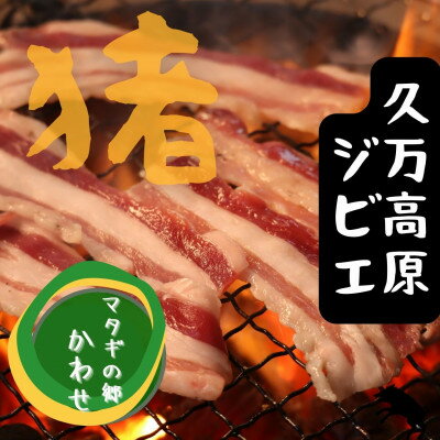 【ふるさと納税】ジビエ「イノシシ肉 部位別束比べセット（800g）」 | BBQ アウトドア キャンプ ヘルシー 猪肉 モモ カタ ばら ロース バーベキュー 愛媛 久万高原町　※離島への配送不可