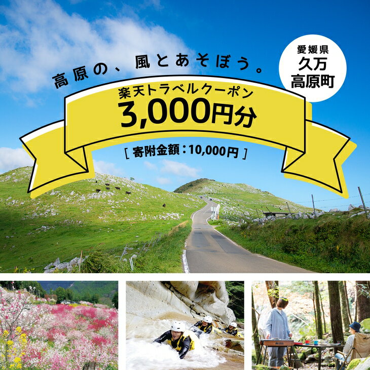 愛媛県久万高原町の対象施設で使える楽天トラベルクーポン 寄付額10,000円