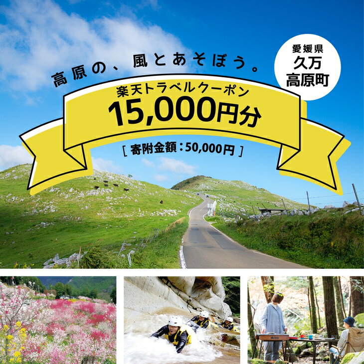 【ふるさと納税】愛媛県久万高原町の対象施設で使える楽天トラベルクーポン 寄付額50,000円