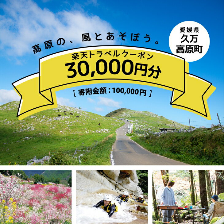 【ふるさと納税】愛媛県久万高原町の対象施設で使える楽天トラベルクーポン 寄付額100,000円