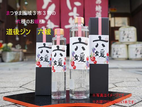 水口酒造 道後ジン「六媛」500ml