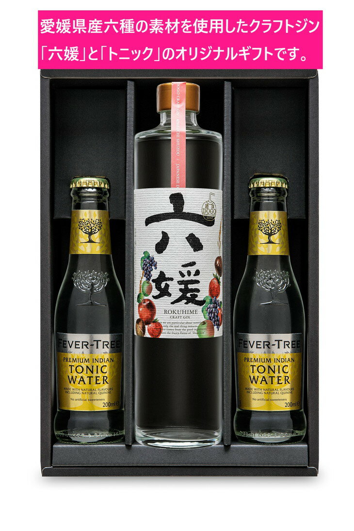 水口酒造 道後ジン「六媛」・トニックセット（G6-500）