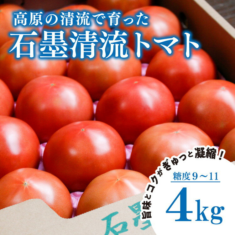 [先行予約] トマト4kg 贈答にもおすすめ そのままでも 美味しい [石墨清流トマト]糖度9〜11度 久万高原町 | トマト ヒナタ ジュース 自然栽培 野菜 酸味 甘味 清流 料理 農園 旨み 栄養たっぷり ※離島への配送不可 ※2025年7月下旬頃より順次発送予定