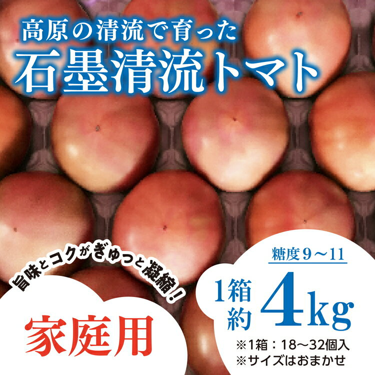 [先行予約]トマト 家庭用 そのままでも 美味しい [石墨清流トマト]糖度9〜11度 久万高原町 ※離島への配送不可 ※2024年7月上旬〜10月下旬頃に順次発送予定