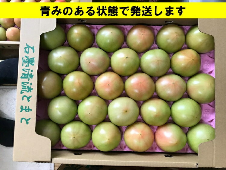 【ふるさと納税】＜先行予約＞トマト 家庭用 そのままでも 美味しい 【石墨清流トマト】糖度9～11度 久万高原町　※離島への配送不可　※2024年7月上旬～10月下旬頃に順次発送予定