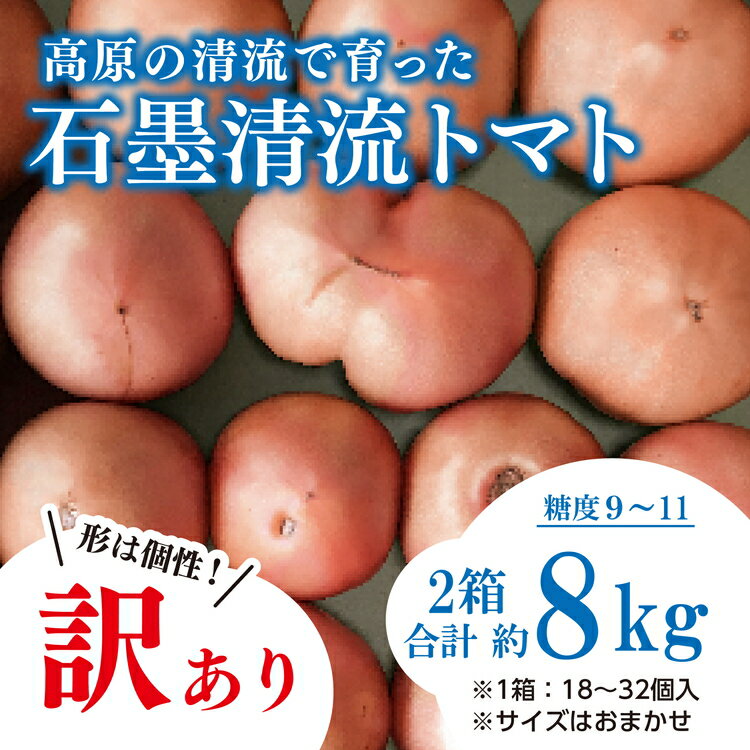 42位! 口コミ数「0件」評価「0」＜先行予約＞訳あり トマト そのままでも 美味しい 【石墨清流トマト】糖度9～11度 久万高原町 トマトソース　※離島への配送不可　※202･･･ 