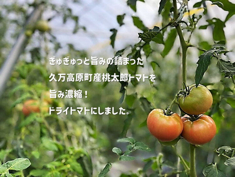 愛媛県久万高原町の画像2