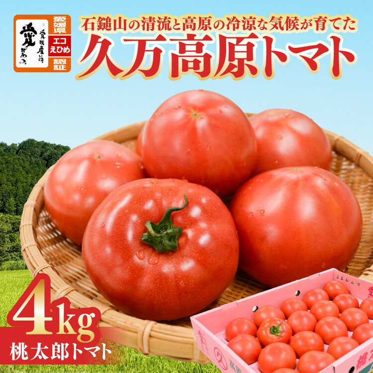 久万高原トマト 4kg そのままでも 美味しい[桃太郎トマト]久万高原町|特別栽培 エコえひめの認証 トマト とまと トマト産地 産地直送 ソース ジュース 自然栽培 野菜 安心 安全 旬 愛媛 ※離島への配送不可 ※2025年7月中旬頃より順次発送予定