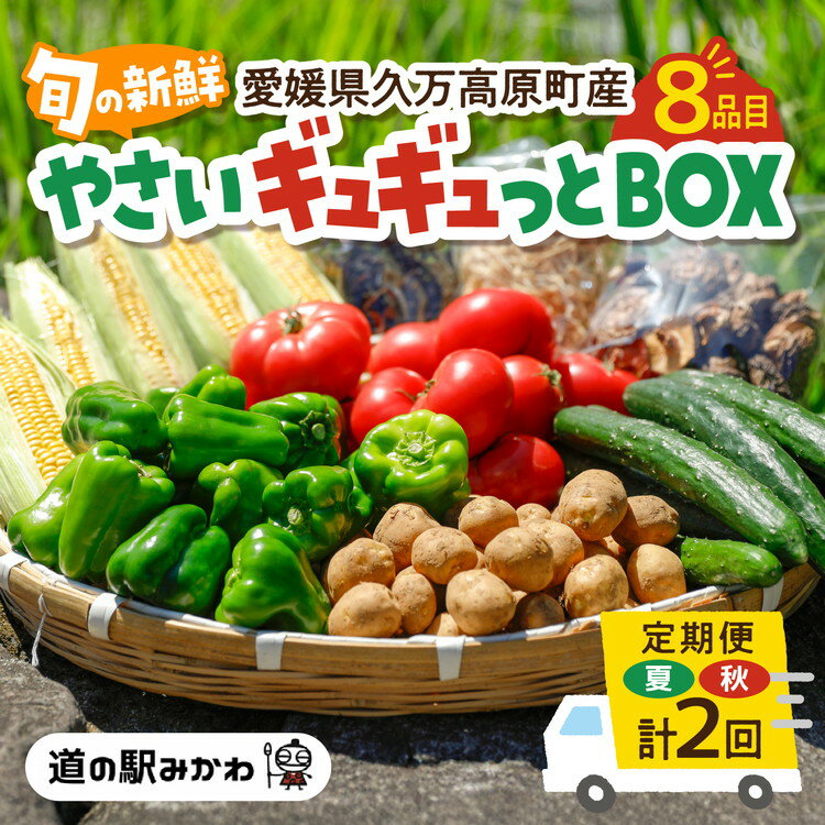 [年2回夏秋定期便]久万高原やさいギュギュっとBOX | 愛媛県 久万高原町 道の駅 みかわ 産地直送 お試し 新鮮 もぎたて 旬の味覚 定期便 夏 7月 秋 11月 発送 年2回 ※離島への配送不可