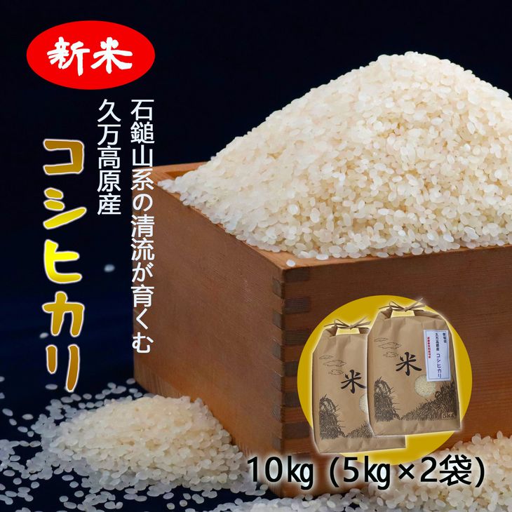 「コシヒカリ10kg(5kg×2袋)」|お米 コメ こめ 精米 ご飯 ごはん 朝食 昼食 家庭用 毎日 愛媛 久万高原町 ※離島への配送不可