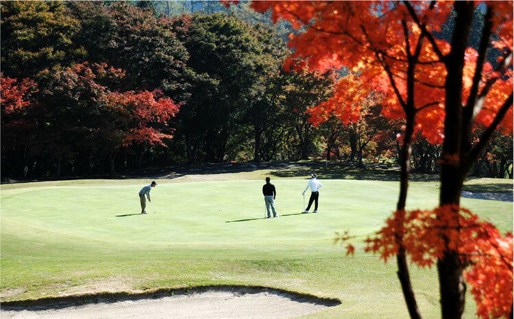 【ふるさと納税】【選べる金額】ゴルフプレー クーポン券
