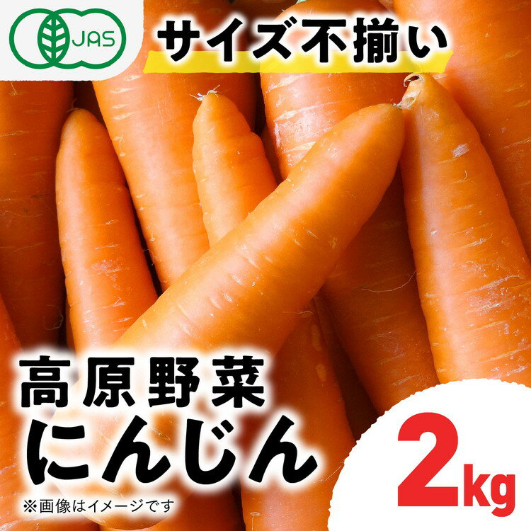 [有機JAS認定]にんじん(紅奏)2kg サイズ不揃い | 愛媛県 久万高原町 てんねん農園 オーガニック 有機栽培 有機 JAS 有機野菜 人参 ニンジン ニンジンジュース 高原野菜 産地直送 ※離島への配送不可 ※2025年12月上旬〜2026年2月上旬頃に順次発送予定