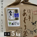 ★令和5年産★伊予あぐり米「ヒノヒカリ」(玄米5kg)