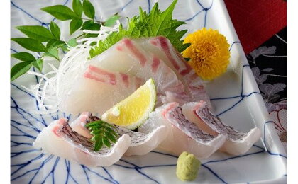 愛媛県産養殖真鯛フィレ2枚(お頭付き冷凍)