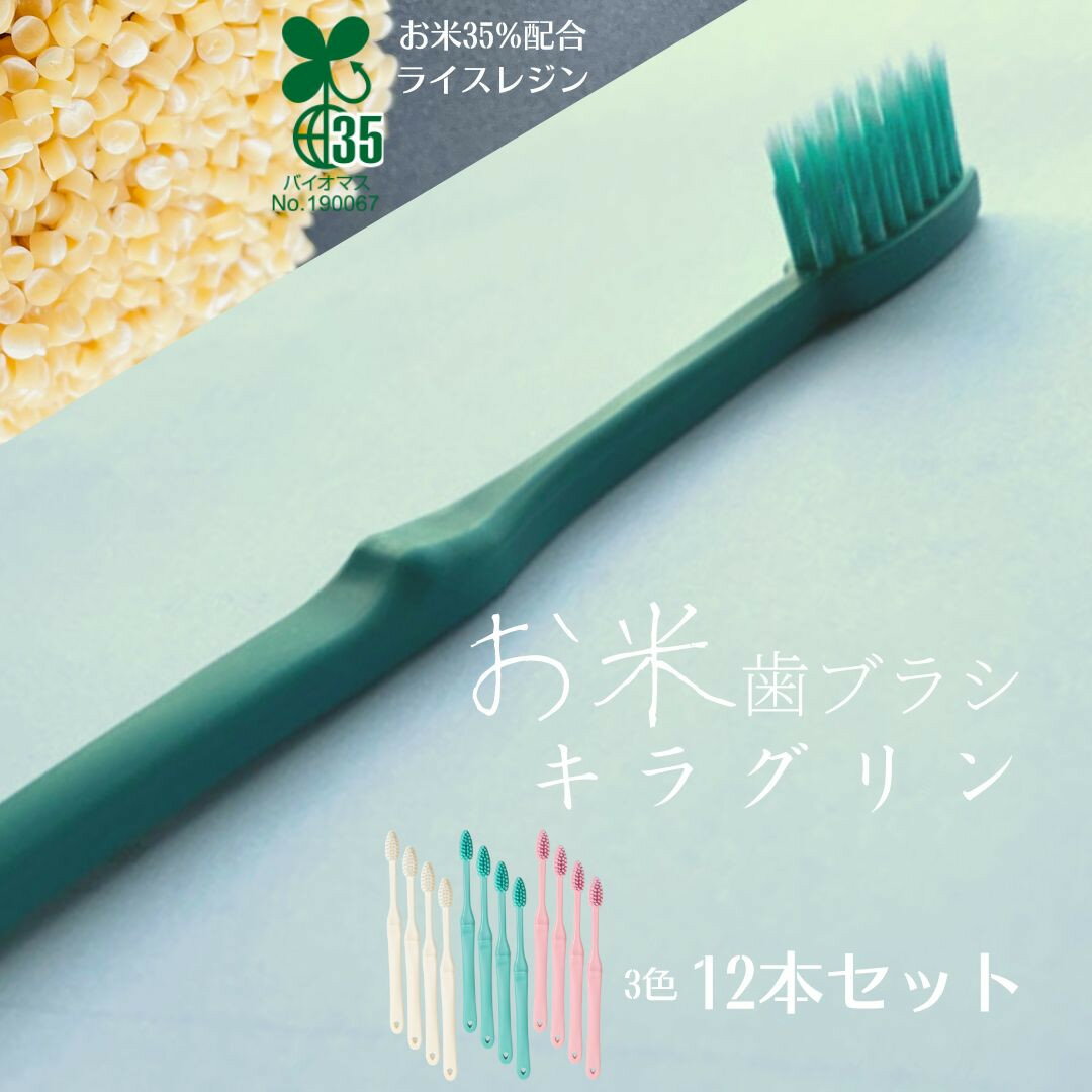 お米でできた歯ブラシ「キラグリン」3色12本セット