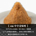 愛媛県松前町の画像3