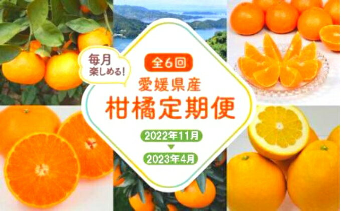 【ふるさと納税】えひめの柑橘セレクト6回定期便　　【定期便・果物類・柑橘類・みかん・フルーツ・果物類・柑橘類・フルーツ】　お届け：2023年11月より毎月配送全6回