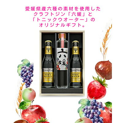 【ふるさと納税】道後ジン 六媛・トニックセット(G6-200) お酒 クラフト 愛媛県産 国産 フレッシュ 甘い 華やか スパイス 香ばしい ギフト プレゼント
