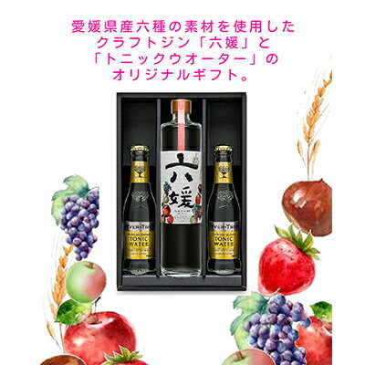 【ふるさと納税】道後ジン 六媛・トニックセット（G6-500）　【お酒・酒・焼酎・お酒・お酒】