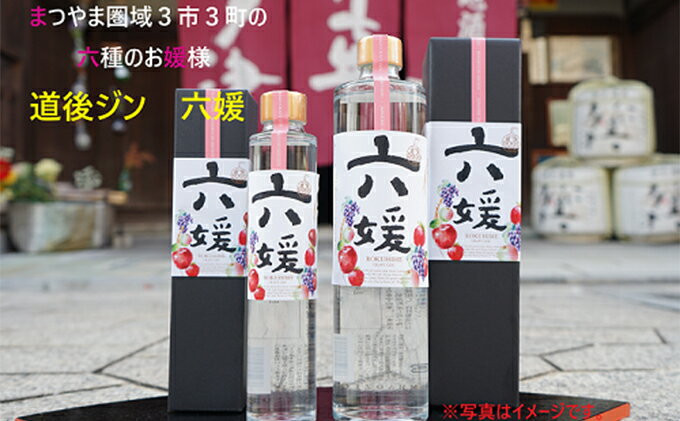 【ふるさと納税】水口酒造 道後ジン「六媛」200ml　クラフトジン スピリッツ 愛媛　【お酒】　お届け：20日以内に発送いたします