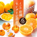 えひめの柑橘セレクト6回定期便　　　お届け：2024年11月より毎月配送全6回