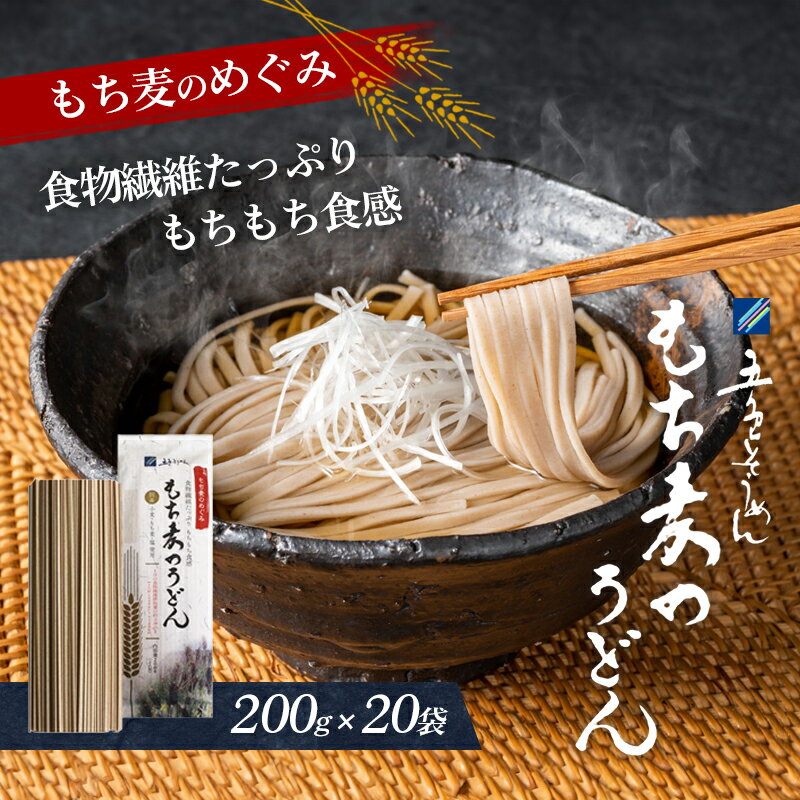 9位! 口コミ数「0件」評価「0」もち麦のうどん　【 麺類 ランチ お昼ご飯 夕飯 晩御飯 もちもち食感 食物繊維 】