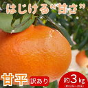 【ふるさと納税】【数量限定 先行予約】訳あり甘平サイズ不揃い約3キロ家庭用 1月上旬頃~順次発送〈産地直送 愛媛県 甘い みかん フルーツ〉 お届け:2026年1月上旬から2月下旬頃