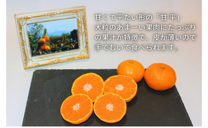 愛媛県砥部町の画像3