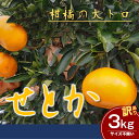 【ふるさと納税】【数量限定 先行予約】訳ありせとかサイズ不揃い約3キロ家庭用 2月下旬頃~順次発送〈産地直送 愛媛県 甘い みかん フルーツ〉 お届け:2026年2月下旬~3月31日頃