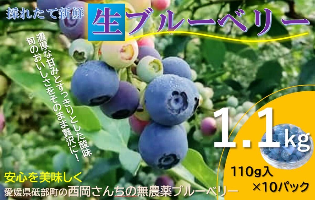 1位! 口コミ数「0件」評価「0」愛媛県砥部町産冷蔵ブルーベリー110g×10パック　甘い アントシアニン デザート フルーツ ヨーグルト 生 まるごと おやつ 今が旬　【 ･･･ 