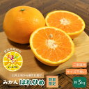 【ふるさと納税】【数量限定 先行予約】訳ありはれひめサイズ不揃い約3キロ家庭用 11月上旬頃~順次発送〈産地直送 愛媛県 甘い みかん フルーツ〉 お届け:2025年11月上旬~2026年1月上旬