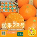 【ふるさと納税】【数量限定 先行予約】訳あり愛果28号サイズ不揃い約3キロ家庭用 12月中旬頃~順次発送〈産地直送 愛媛県 甘い みかん フルーツ〉 お届け:2025年12月中旬~2026年1月中旬