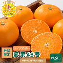 【ふるさと納税】【新品種登場!数量限定 先行予約】訳あり愛果48号サイズ不揃い約3kg家庭用 3月中旬頃~順次発送〈産地直送 愛媛県 甘い みかん フルーツ〉 お届け:2026年3月中旬~4月下旬
