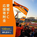【ふるさと納税】愛媛FCへの支援に活用させていただきます!【返礼品なし】愛媛FCへのご寄付 1,000,000円