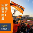 【ふるさと納税】愛媛FCへの支援に活用させていただきます!【返礼品なし】愛媛FCへのご寄付 100,000円