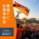【ふるさと納税】愛媛FCへの支援に活用させていただきます!【返礼品なし】愛媛FCへのご寄付 10,000円