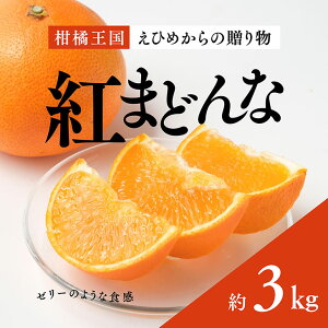 【ふるさと納税】紅まどんな※2022年11月下旬以降に順次発送予定