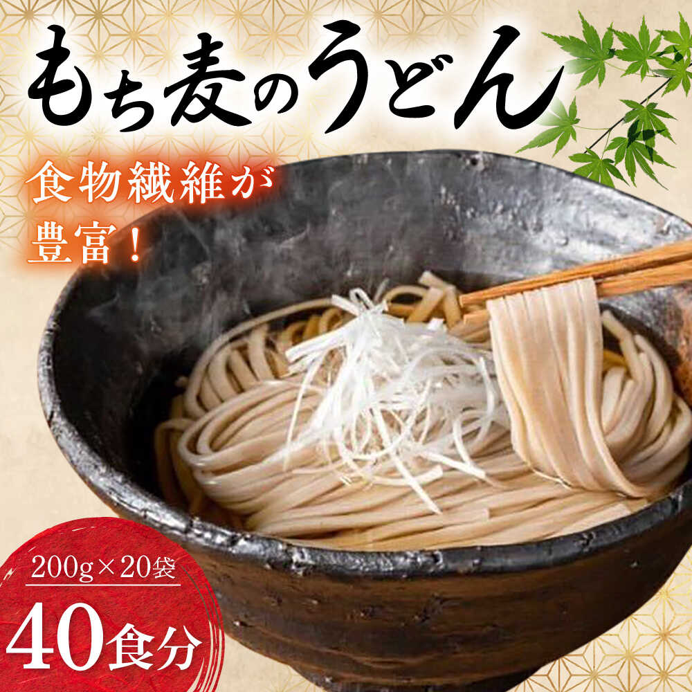 【ふるさと納税】うどん もち麦のうどん(200g×20袋)40食分 / うどん 愛媛県産 もち麦 練り込み 常温 長期保存可 詰合せ 食物繊維 もちもち 食感 冷うどん 温うどん / 愛媛県砥部町/五色そうめん株式会社[BJAY001]