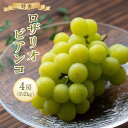 23位! 口コミ数「0件」評価「0」＜先行予約＞ロザリオ・ビアンコ（特秀）約2kg1箱（4房） | ブドウ 葡萄 先行予約 葡萄 ロザリオ・ビアンコ 美味しい ぶどう ロザリオ･･･ 