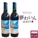 17位! 口コミ数「0件」評価「0」内子夢わいん 山ぶどう 2本 | ワイン お酒 わいん 酒 愛媛 ワイン 美味しい ワイン お酒 ワイン 大人気 ワイン 愛媛 送料無料