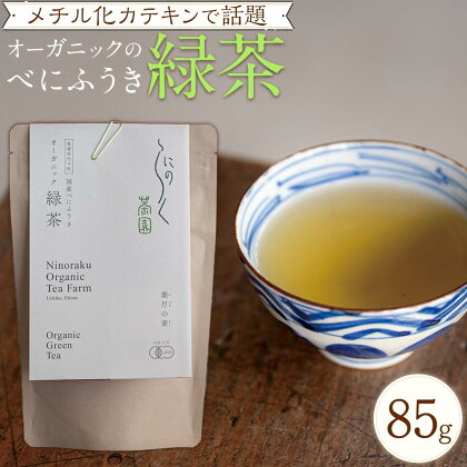 メチル化カテキンで話題　オーガニックのべにふうき緑茶（85g×1個）