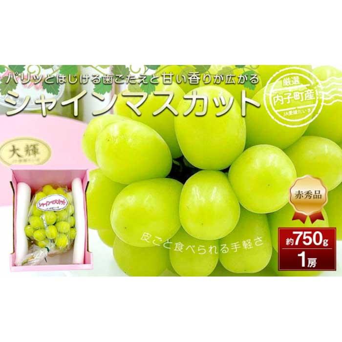 【先行予約】内子町産シャインマスカット 赤秀 1房入 750g以上 ★2024年8月下旬から発送★ | ブドウ 愛媛県産 新鮮 シャインマスカット 旬 フルーツ 果物 くだもの 食品 人気 おすすめ 送料無料