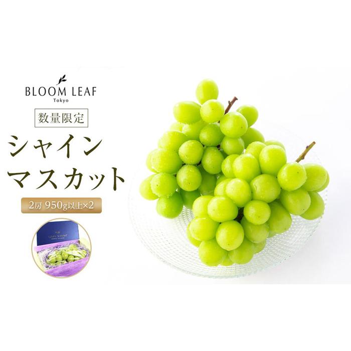 【ふるさと納税】BLOOM LEAF シャインマスカット2房 ＜2024年9月中旬発送開始＞ | 食品 加工食品 人気 おすすめ 送料無料