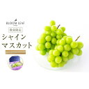 【ふるさと納税】BLOOM LEAF シャインマスカット2房 <2025年9月中旬発送開始> | 食品 加工食品 人気 おすすめ 送料無料
