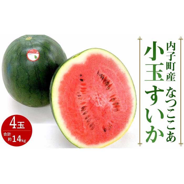 41位! 口コミ数「0件」評価「0」内子町産 小玉すいか なつここあ 4玉 計約14kg　★2024年7月下旬から発送予定★ | フルーツ 果物 くだもの 食品 人気 おすすめ･･･ 